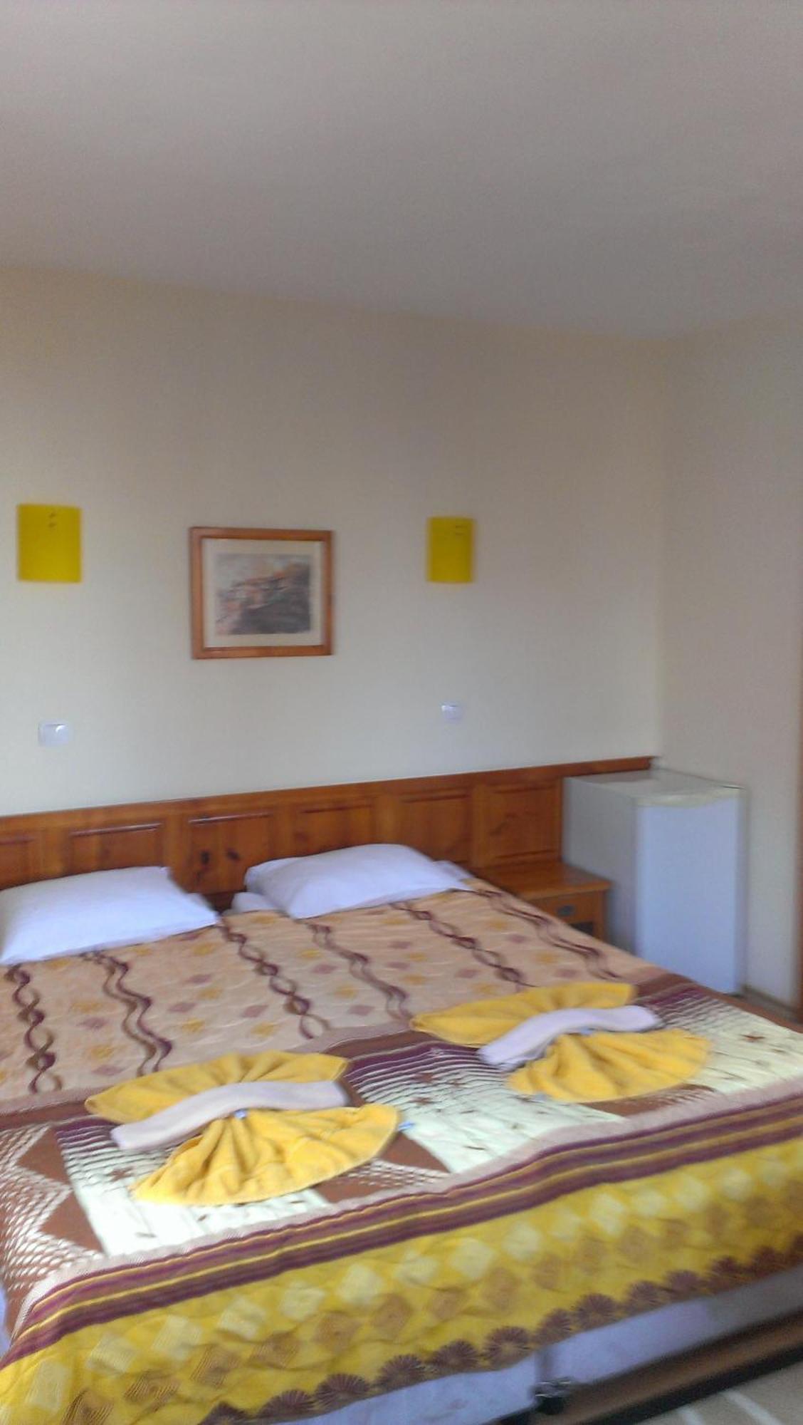 Family Hotel Bansko 索菲亞 客房 照片